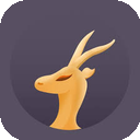 Lingyang Cracked VPN, 羚羊的破解版梯子加速器