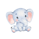 Daxiang Cracked VPN, 巨象破解版梯子加速器