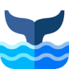 Whitewhale Cracked VPN